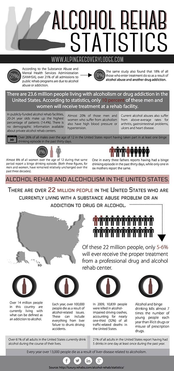 Rehab Statistics Infographic