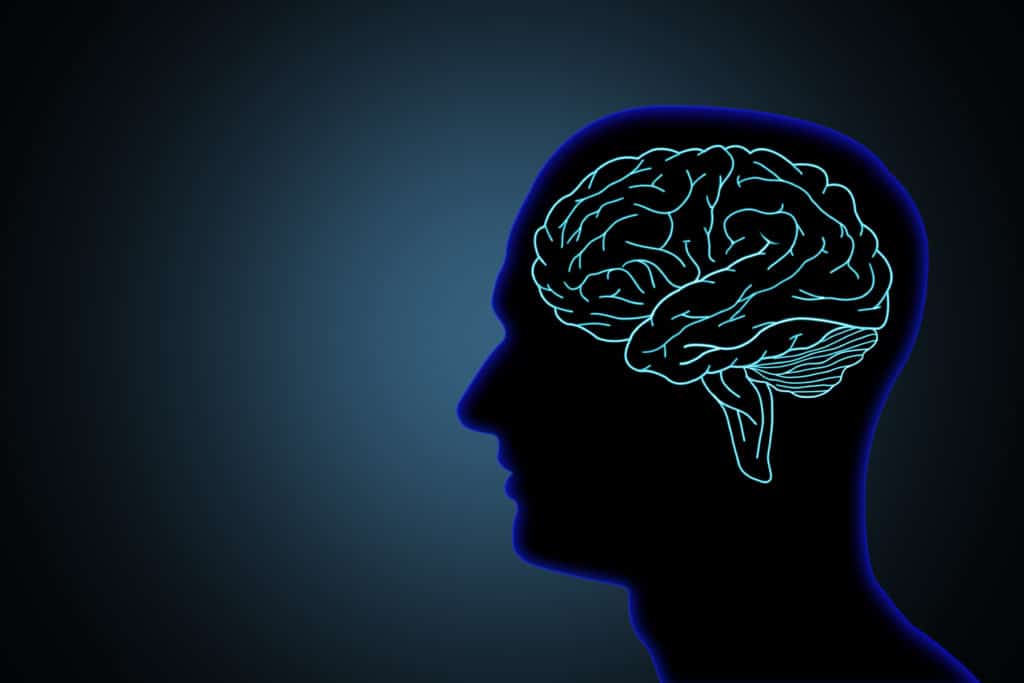An Illustration of a human brain in a silhouette black head against a dark blue background.